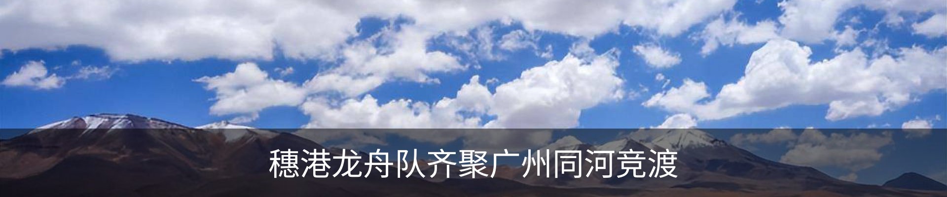 最新动态