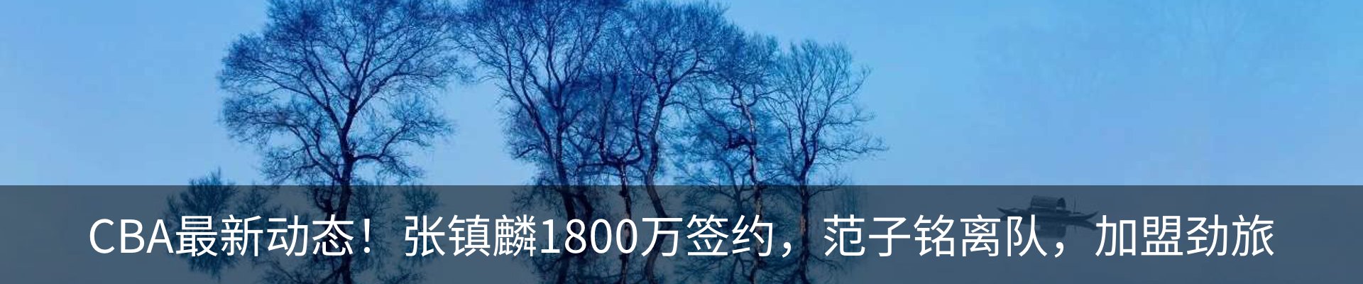 最新动态